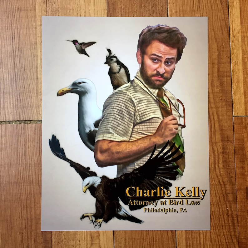 Charlie Kelly Attorney at Bird Law Its Always Sunny in Etsy