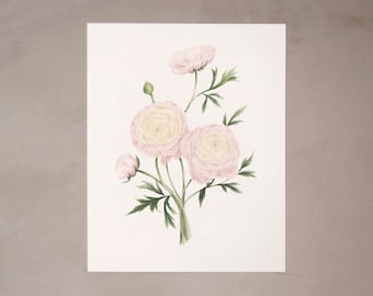 Ranunculus Watercolor Artprint 8"x10"