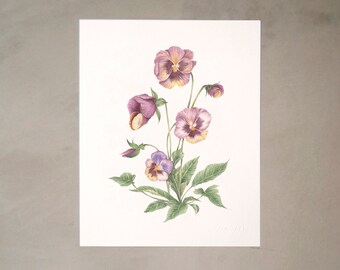 Pansy Watercolor Artprint 8"x10"