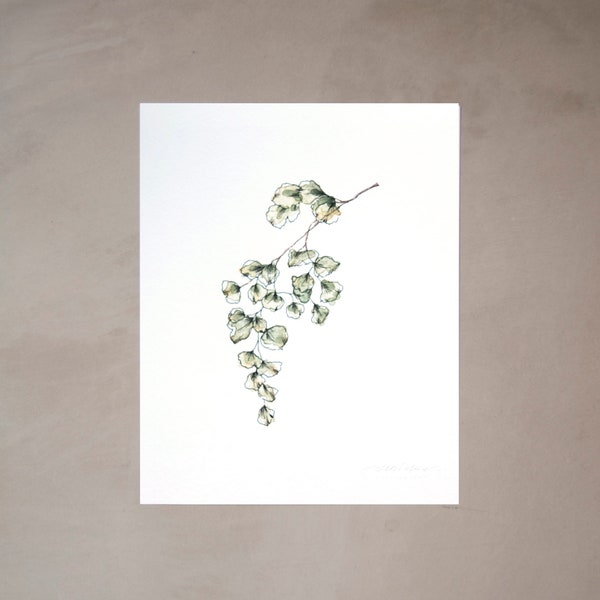 Maidenhair 02 Watercolor Artprint 8"x10"