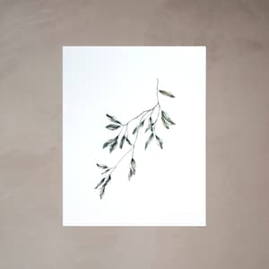 Olive Branch 01 Watercolor Artprint 8&quot;x10&quot;