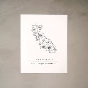 California Orange Mohn Artprint | Schwarz und weiß botanische Illustration