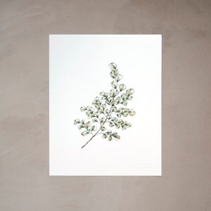 Maidenhair 01 Watercolor Artprint 8"x10"