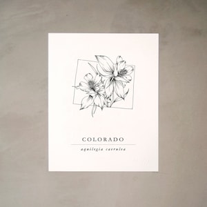 Colorado Blue Columbine Artprint | Black and White Botanical Illustration