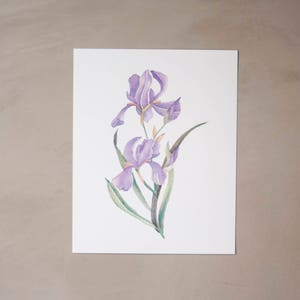 Iris Watercolor Artprint 8x10 image 1