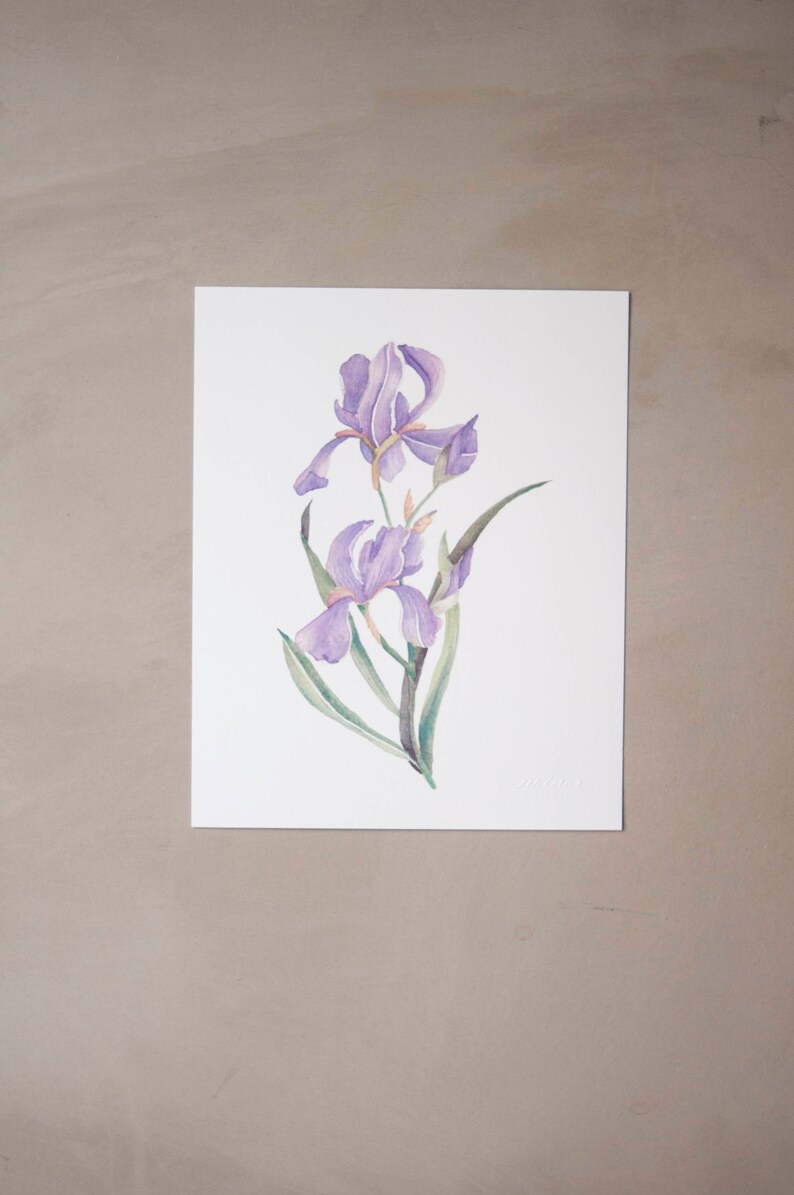 Iris Watercolor Artprint 8x10 image 1