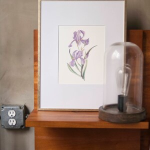 Iris Watercolor Artprint 8x10 image 2