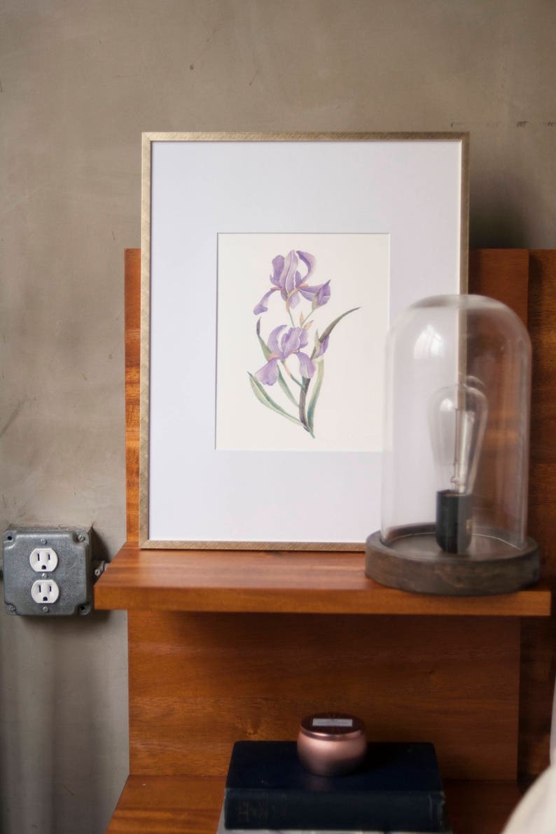 Iris Watercolor Artprint 8x10 image 2