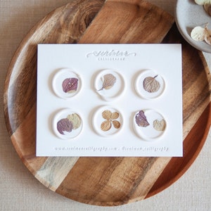 White Wax Stickers with Dried Hydrangea - Set of 6