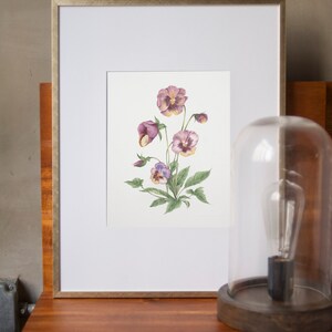 May include: A framed watercolor painting of purple and yellow pansies with green leaves on a white background.