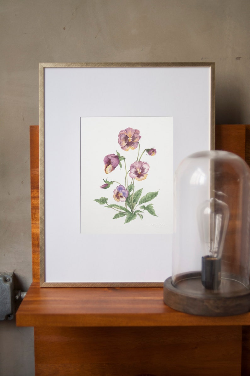 May include: A framed watercolor painting of purple and yellow pansies with green leaves on a white background.