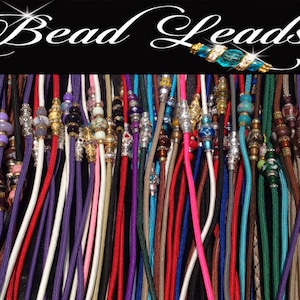 May include: A collection of colorful beaded cords with silver and gold accents. The cords are arranged in a vertical stack, with the beads at the top. The cords are made of different materials, including leather, rope, and string. The beads are made of glass, metal, and plastic. The cords are all different lengths. The image is titled "Bead Leads".