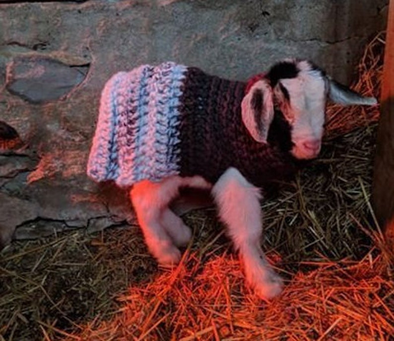 Crochet Pattern Chunky New Born Goat Sweater Kid Sweater How Etsy