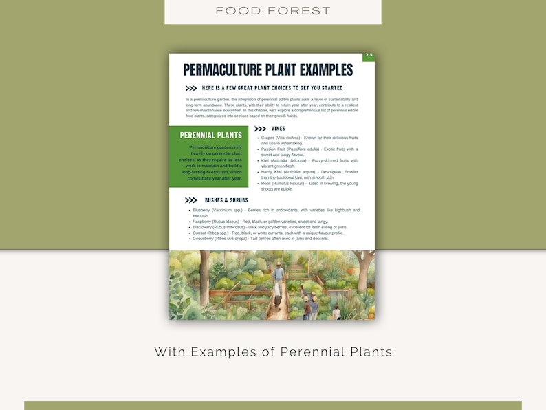 May include: A watercolor illustration of a food forest with examples of perennial plants, including vines, bushes, and shrubs. The text "PERMACULTURE PLANT EXAMPLES" is at the top of the image. The text "HERE IS A FEW GREAT PLANT CHOICES TO GET YOU STARTED" is below the title. The text "PERENNIAL PLANTS" is in a box to the left of the image. The text "VINES" is in a box to the right of the image. The text "BUSHES & SHRUBS" is in a box to the right of the image. The text "With Examples of Perennial Plants" is at the bottom of the image.