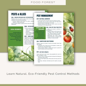 May include: A guide to natural pest control methods for a food forest. The guide includes tips on observation, early intervention, natural barriers, healthy soil practices, handpicking and pruning, and DIY pest sprays. The guide is illustrated with watercolor drawings of a praying mantis, a ladybug, and a tomato plant.