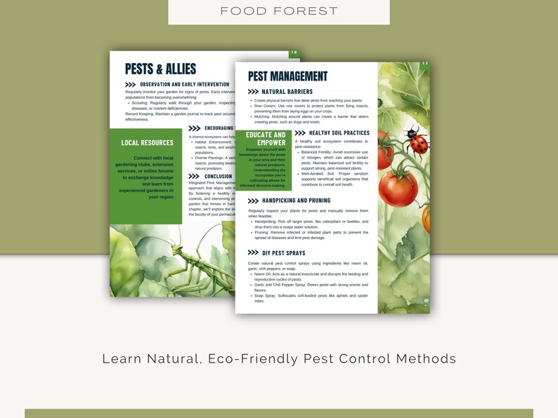 May include: A guide to natural pest control methods for a food forest. The guide includes tips on observation, early intervention, natural barriers, healthy soil practices, handpicking and pruning, and DIY pest sprays. The guide is illustrated with watercolor drawings of a praying mantis, a ladybug, and a tomato plant.