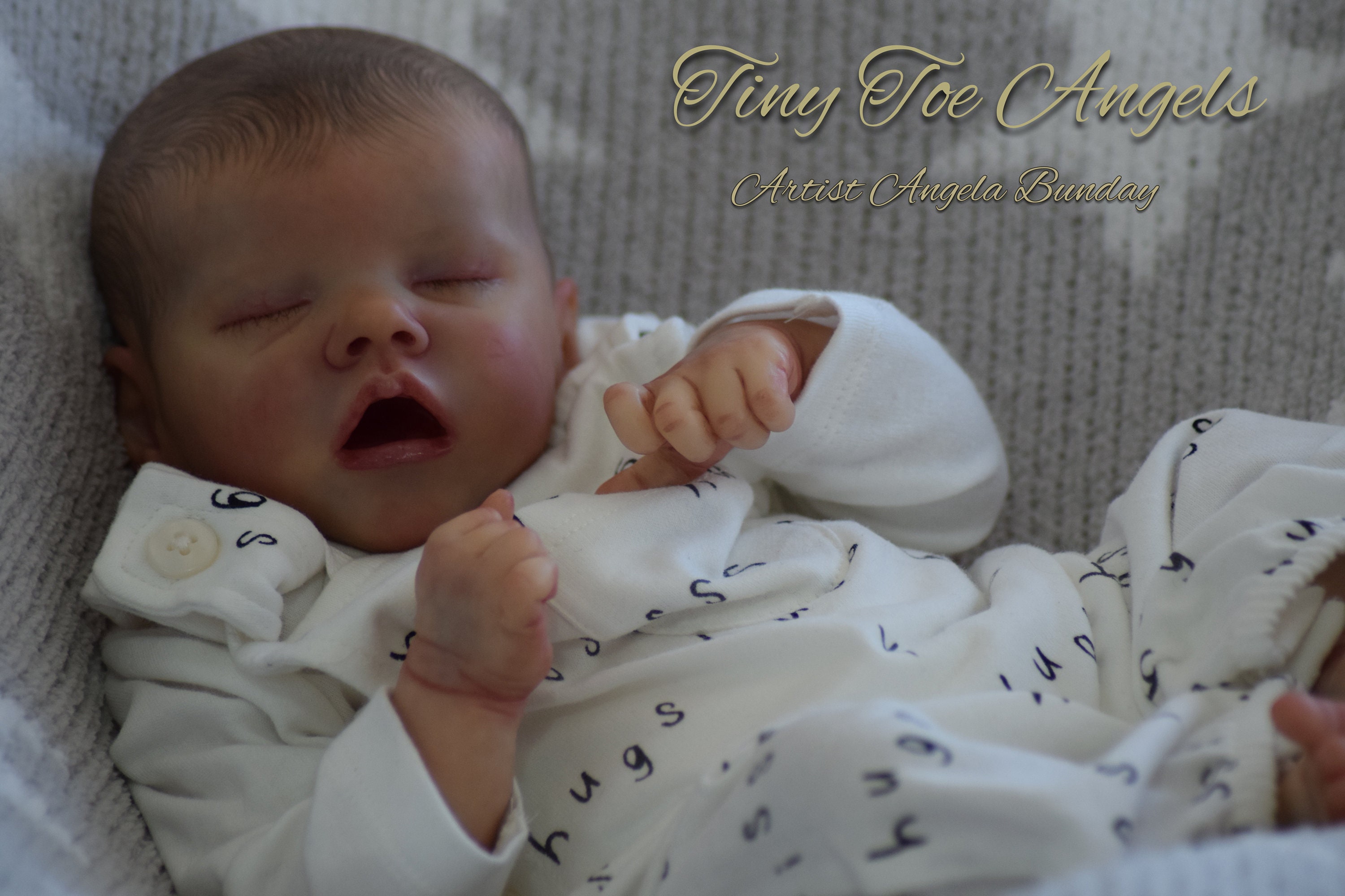 reborn baby twin b