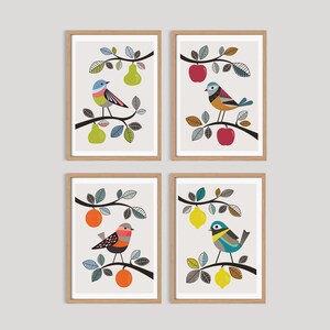 Birds Set of 4 prints 5x7", birds and fruits wall art, decorative birds wall decor