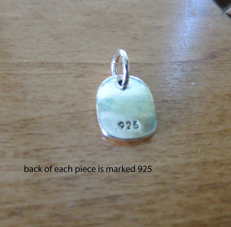 Puede incluir: Un amuleto de plata con forma rectangular redondeada. La parte posterior del amuleto est&aacute; estampada con el n&uacute;mero "925".