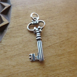 May include: A silver key charm with an ornate design. The key has a decorative top and a straight shaft with a small, detailed keyhole.