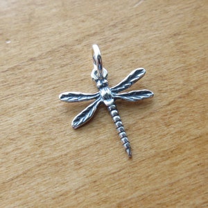 May include: A silver dragonfly charm with a detailed design. The charm has a loop at the top for attaching to a necklace or bracelet.