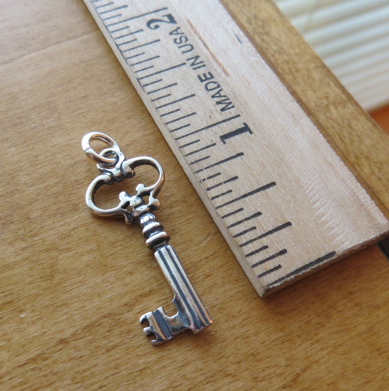May include: A silver key charm with an ornate design. The key is about 1 inch long and has a loop at the top for attaching to a necklace or bracelet.