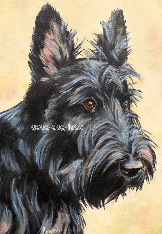 Scottish Terrier German MATTED Dog Art Print NEW U 