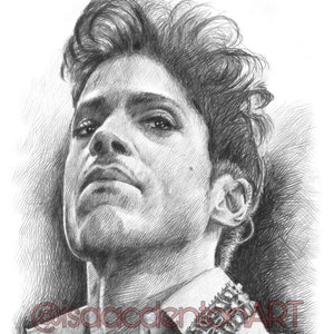 Prince 6&quot; x 9&quot;