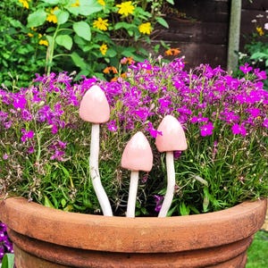 May include: Three pink ceramic mushroom garden decorations in a terracotta pot filled with purple flowers.