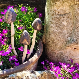 May include: Three ceramic mushrooms with brown and gold painted caps and white stems are arranged in a terracotta pot filled with purple flowers.