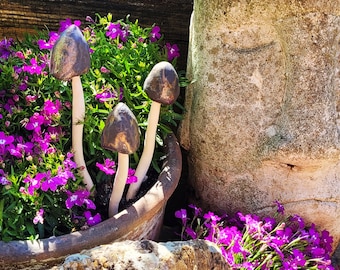 May include: Three ceramic mushrooms with brown and gold painted caps and white stems are arranged in a terracotta pot filled with purple flowers.
