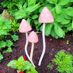May include: Three pink ceramic mushrooms with white polka dots, standing in a garden setting. The mushrooms are different sizes and have white stems.