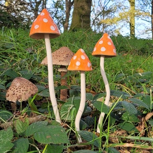 Elegant Orange Glazed Spotty Ceramic Mushroom Toadstool Winter Garden Colour or Indoor Ornament Hand Made Frost proof Ideal Mothers Day Gift