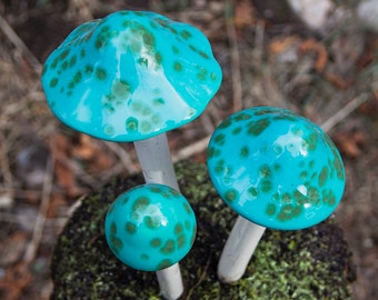 Champignon tortue turquoise en céramique. Shroomyz. Décoration de jardin