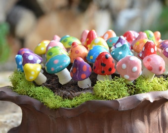 Miniature Pico Mushrooms, Tiny Mushrooms, Fairy Garden Mushrooms, Pico Mushrooms, Fairy Garden Accessory, Colorful Mushroom