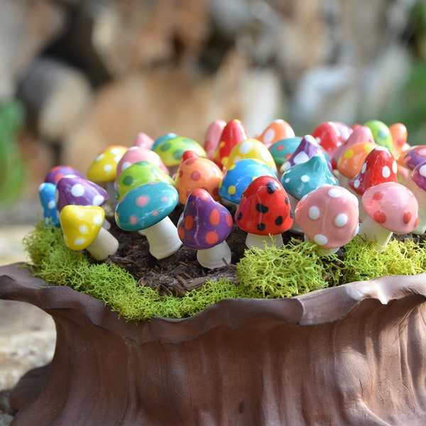 Miniature Pico Mushrooms, Tiny Mushrooms, Fairy Garden Mushrooms, Pico Mushrooms, Fairy Garden Accessory, Colorful Mushroom