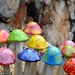 see more listings in the Mushroom Variety Packs section