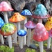 see more listings in the Mushroom Variety Packs section
