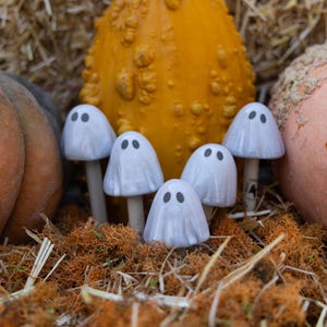 May include: A Halloween-themed display featuring pumpkins, gourds, and ceramic ghost figurines. The pumpkins are various shades of orange and brown. The ghost figurines are white with black eyes, adding a spooky touch to the autumn arrangement.