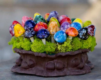 Fairy Ceramic Mushrooms Pack Assorted Colors. Shroomyz.  Small Garden Mushrooms,  Colorful mushrooms, Fairy Garden Accessory