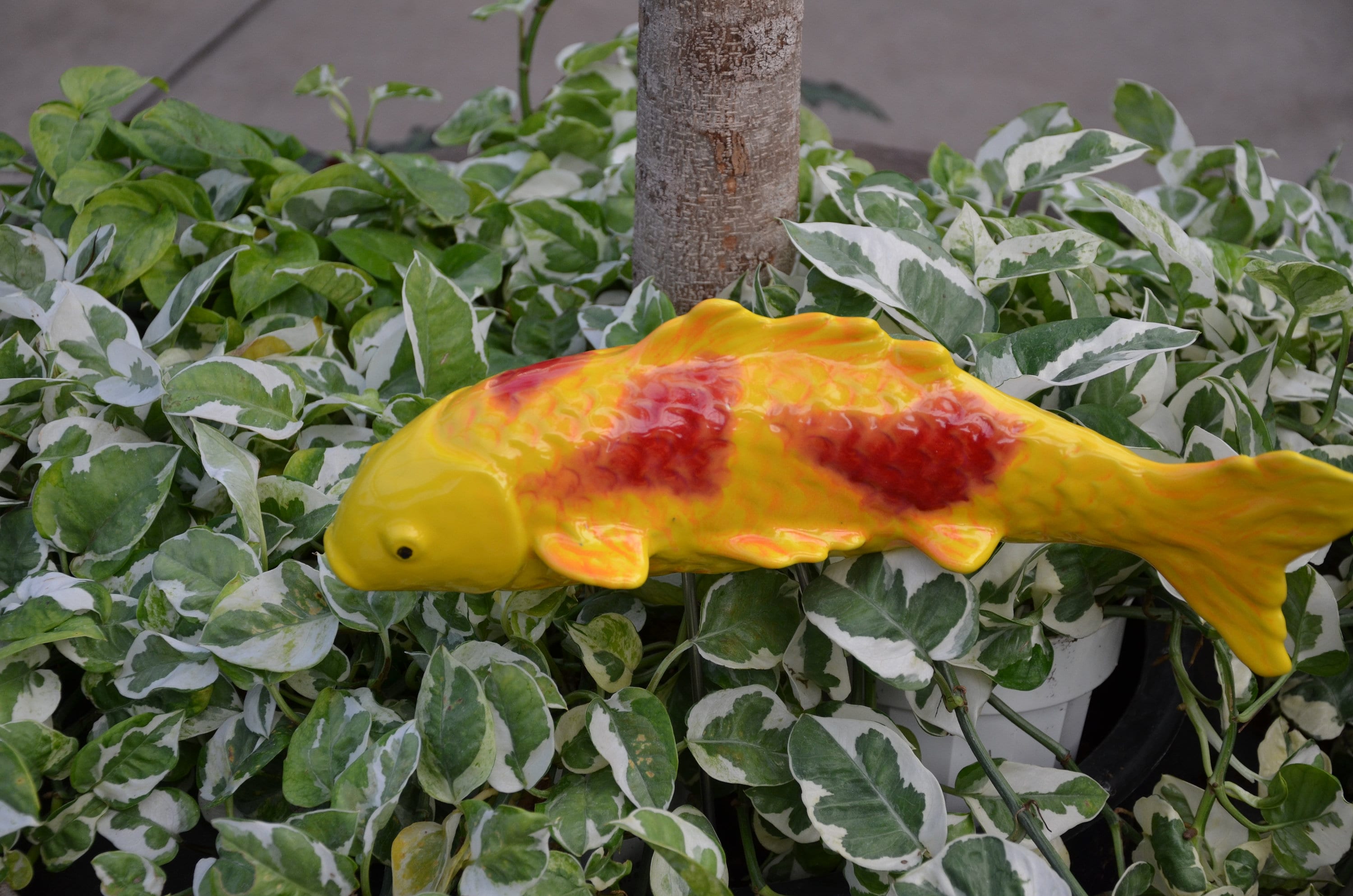 Ceramic Koi Fish Stake. Orange and Red Koi. Garden Fish. Koi Etsy