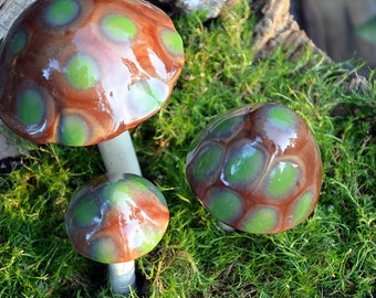 Turtle Time Ceramic Mushroom. Shroomyz. Garden Decoration