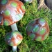 see more listings in the Single Mushrooms section