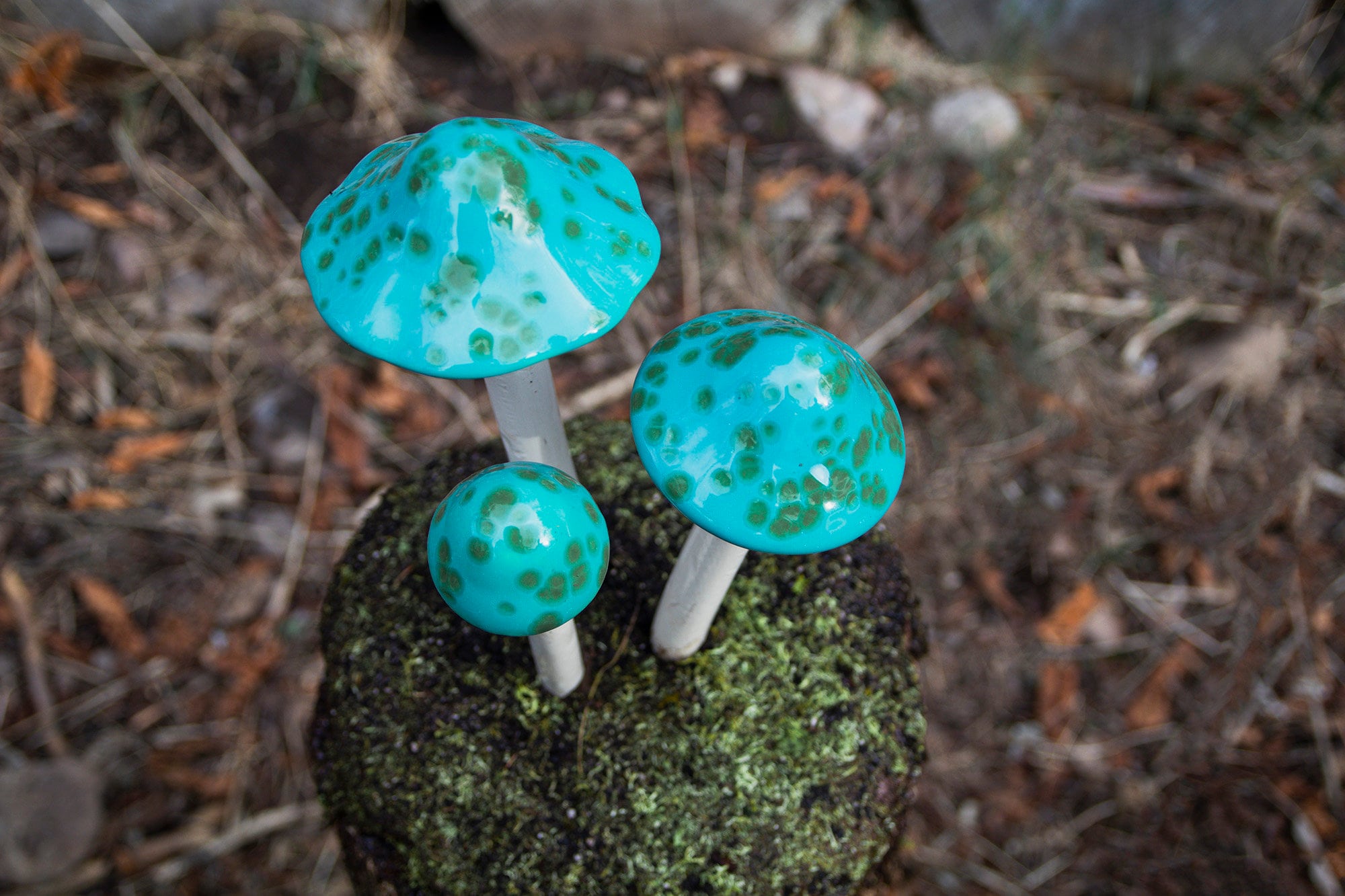 Ceramic Mushroom. Garden Stake, Turquoise Turtle , Clay Mushroom, Ter…