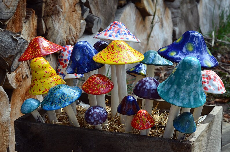 Ceramic Mushroom Set Mushroom Variety Packs Crystal Pack Etsy