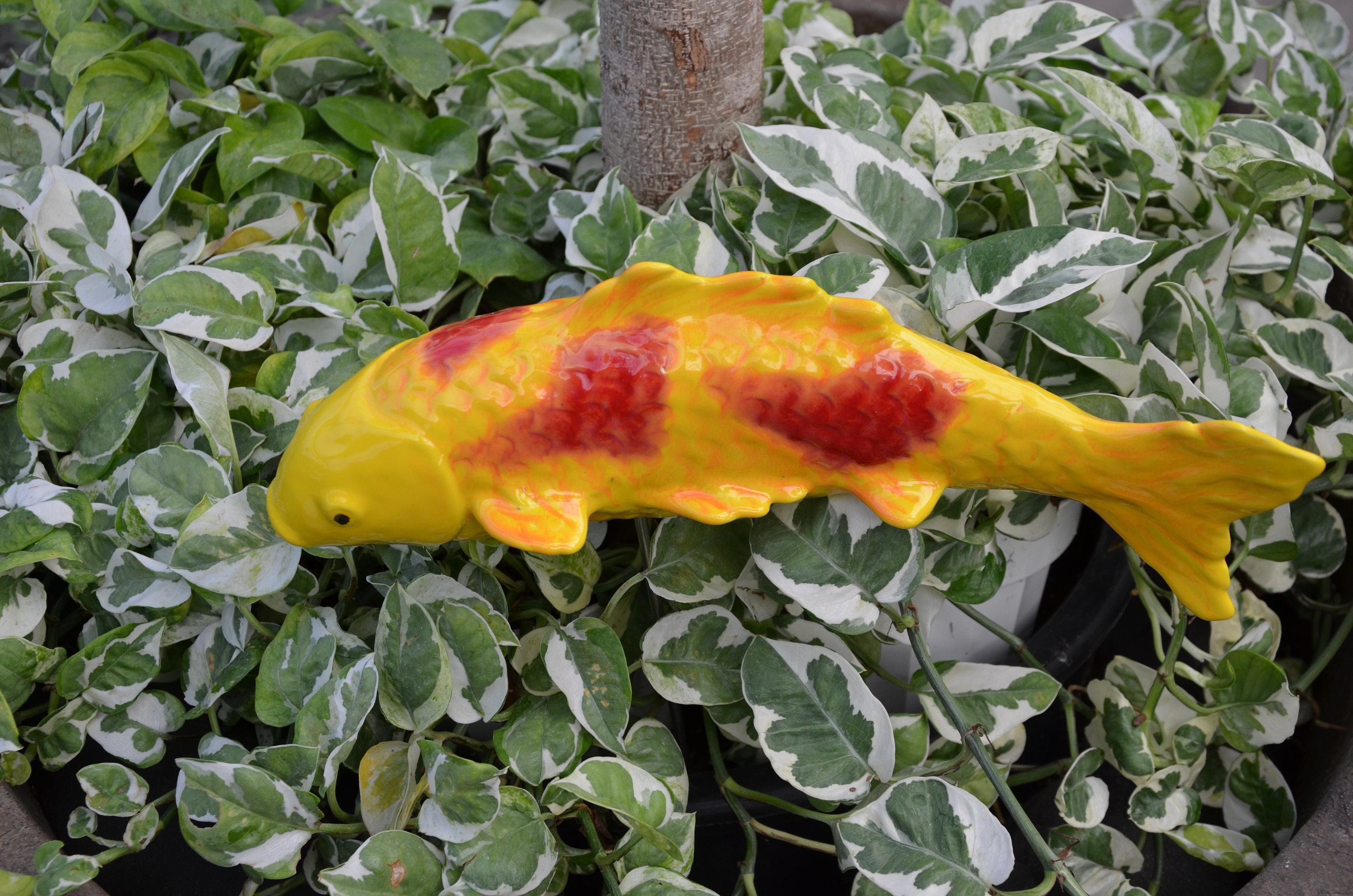 Ceramic Koi Fish Stake. Orange and Red Koi. Garden Fish. Koi Etsy