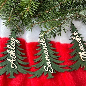 Peut inclure: Trois ornements de sapin de Noël en bois vert avec les noms Ashley, Samantha et Theodor en écriture cursive. Les ornements sont suspendus au-dessus d'une chaussette de Noël rouge et blanche, avec des branches de conifères en arrière-plan.