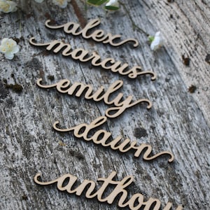 Benutzerdefiniertes lasergeschnittenes Namensschild/Tischkarten aus Holz/Lasergeschnittene Tischkarten/Hochzeitstischkarten/personalisierte Tischkarten