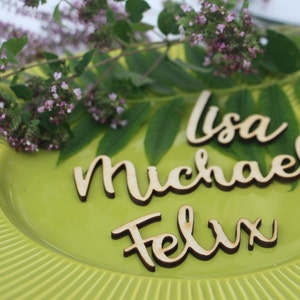 Rose Gold Platzschilder / Gedeck Schilder Rose Gold / Dinner Party Tischkarte / Hochzeitskarten / Moderne Kalligraphie Party Dekoration