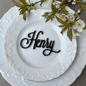 Custom Laser Cut Wedding Place Cards: Baltic Birch or Acrylic